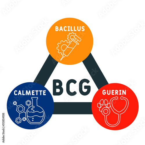 BCG Bacillus Calmette-Guerin acronym. medical concept background.  vector illustration concept with keywords and icons. lettering illustration with icons for web banner, flyer, landing page
