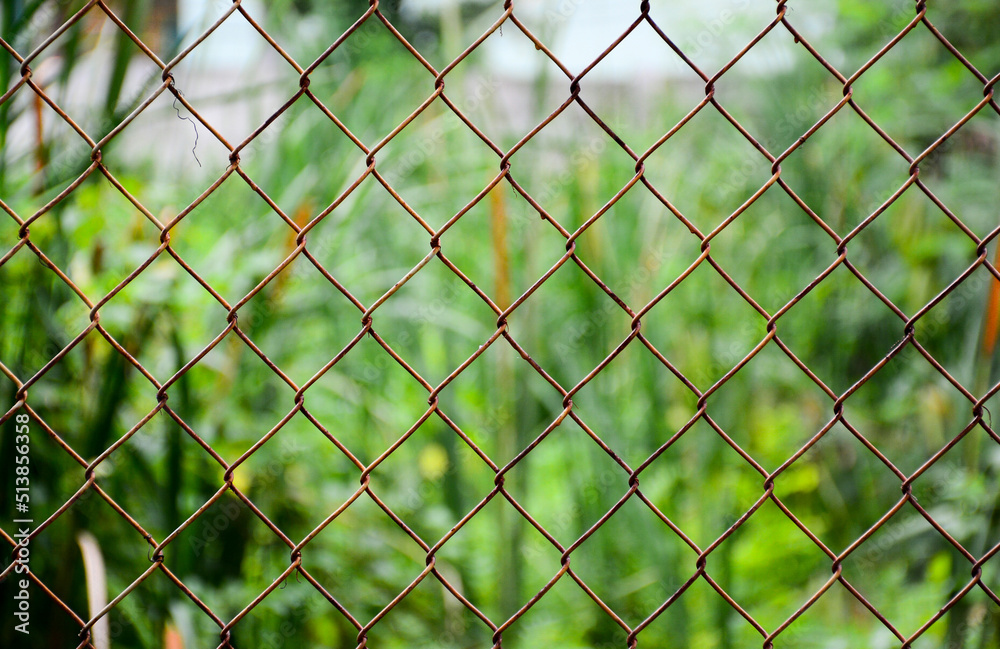 Fototapeta premium fence