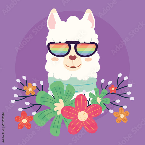 llama with glasses
