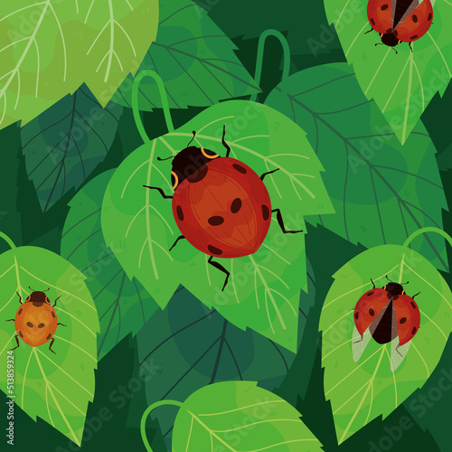 ladybirds on leaves © Stockgiu