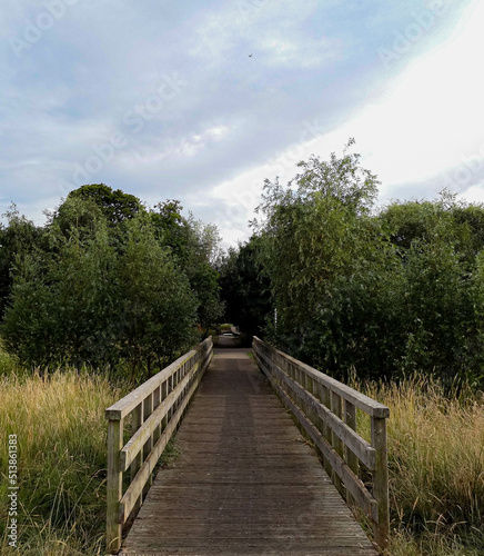 wooden bridge in park © Alexander