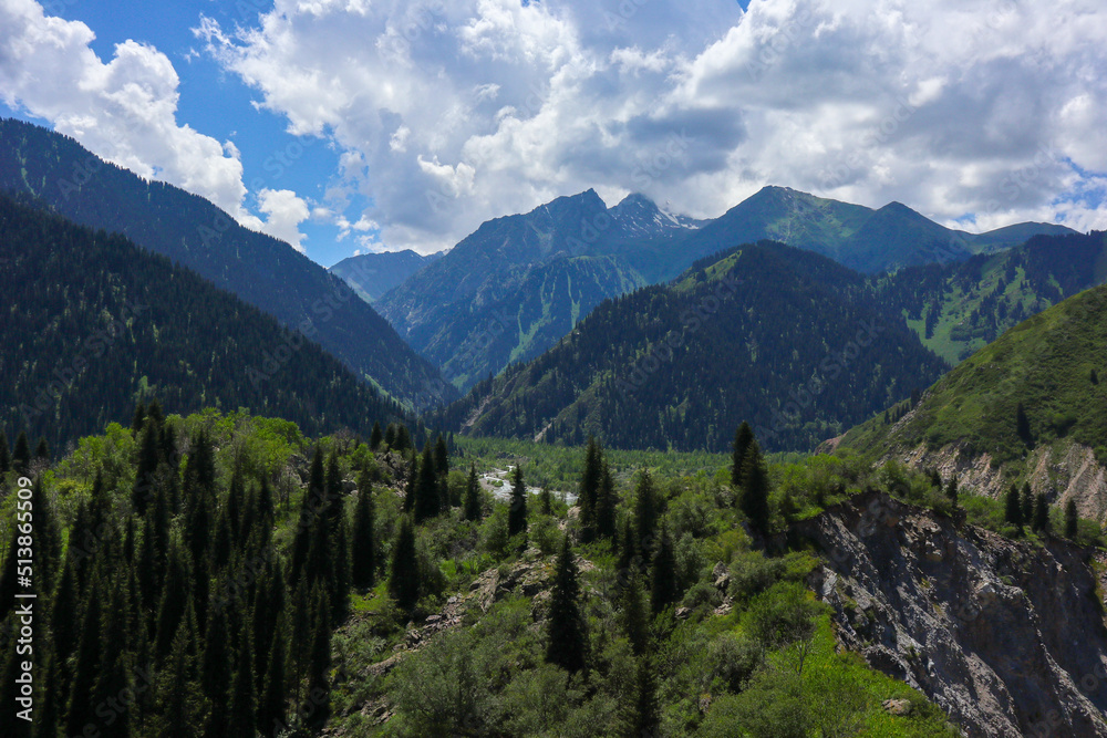 beautiful mountain landscape. panorama of the mountains. summer day.