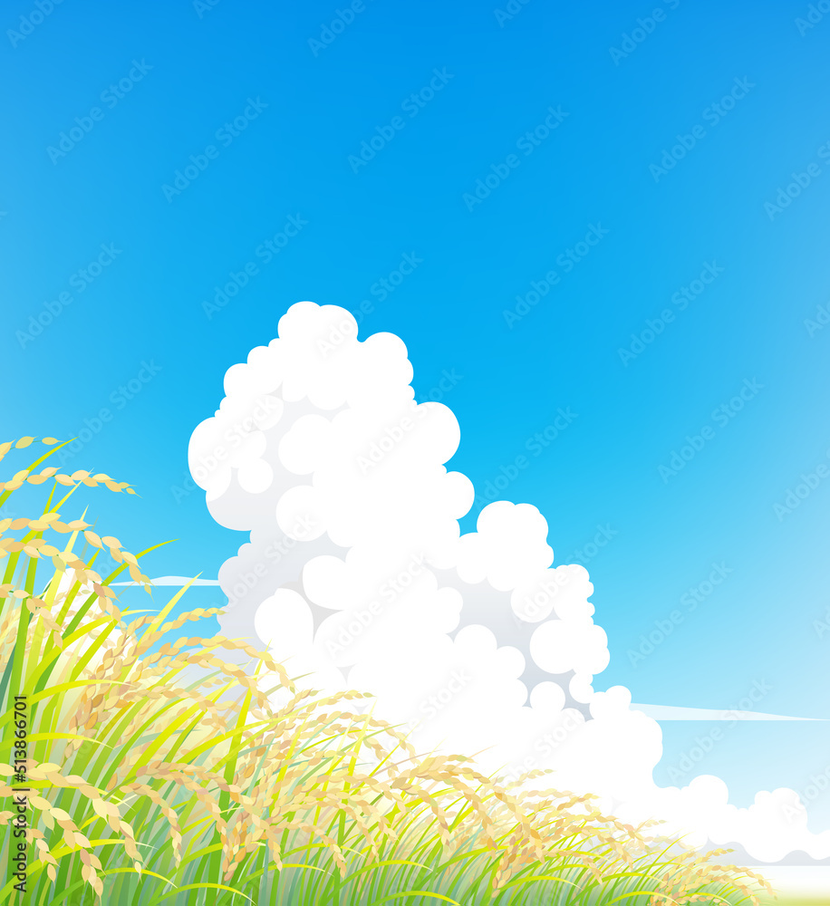 Obraz premium 稲 稲穂 田んぼ