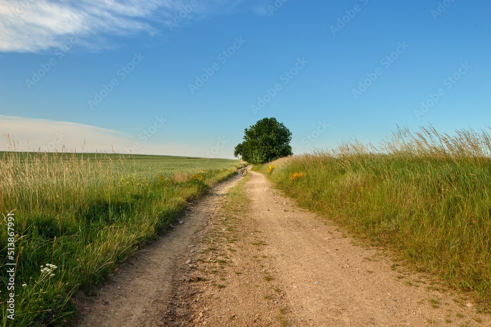 Naklejka premium Summer panoramic view of czech (Souht Bohemia) landscape with fields, hills, meadow and path during sunset and mist, noise