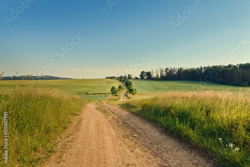 Summer panoramic view of czech  Souht Bohemia  landscape with fields  hills  meadow and path during sunset and mist  noise