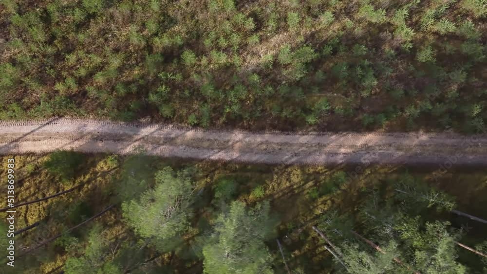 Aerial view of a rural road passing through a beautiful green forest. Aerial view of a rural road passing through a beautiful green forest.