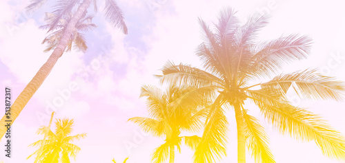 The banner season of colors with a tropical in Summer of Palm Trees Vintage - cloud sky summer tropical summer image background © SASITHORN