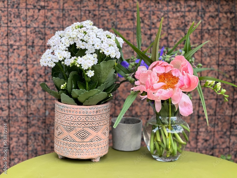 Kalanchoe with white flowers in a pot and a pink peony flower in a glass vase.