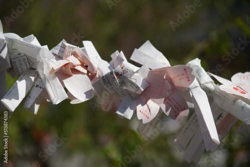 平野神社のおみくじ photo