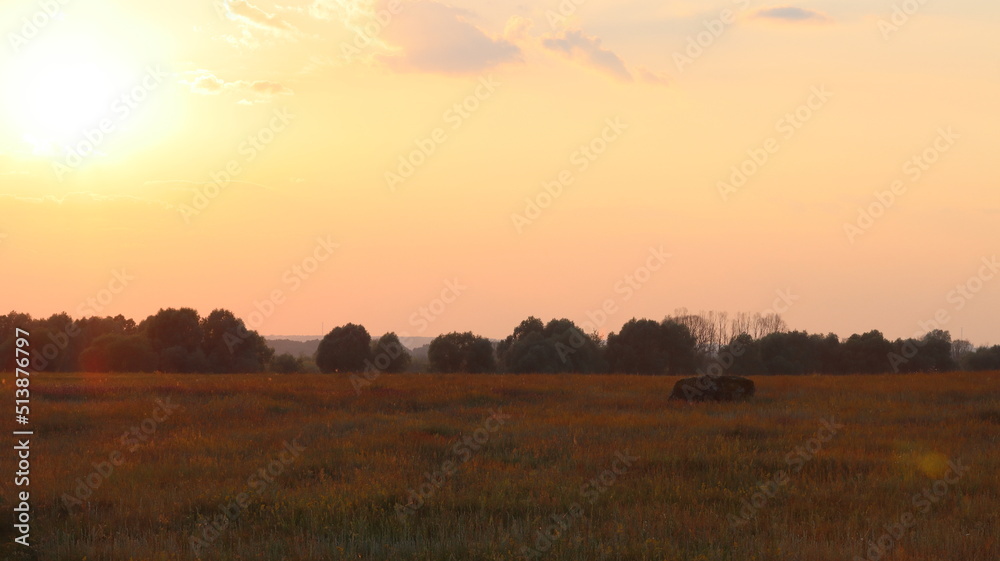 Sunset over water meadows between the Staritsa River and the village of Agro-Pustyn