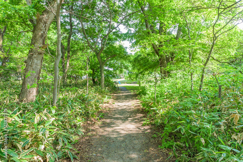 View of the Moyoro Kaizuka (Moyoro Shell Mound Historic Site) in Abashiri City, Hokkaido, a Historic Site of Japan.