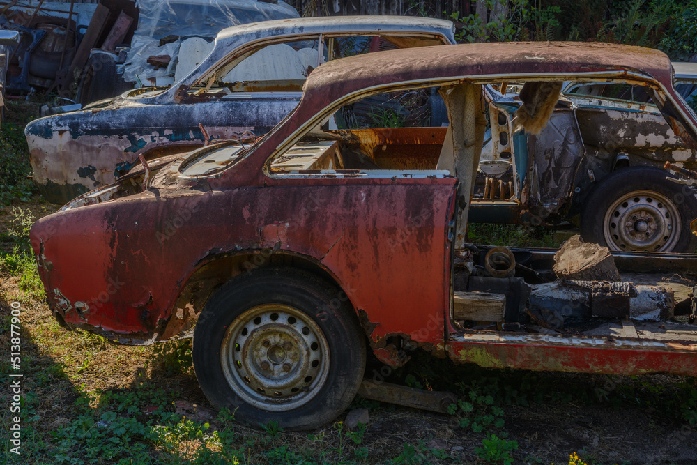 Old cars rolled for scrapping in a meadow.