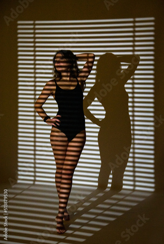 silhouette of a girl in a bikini with jalousie