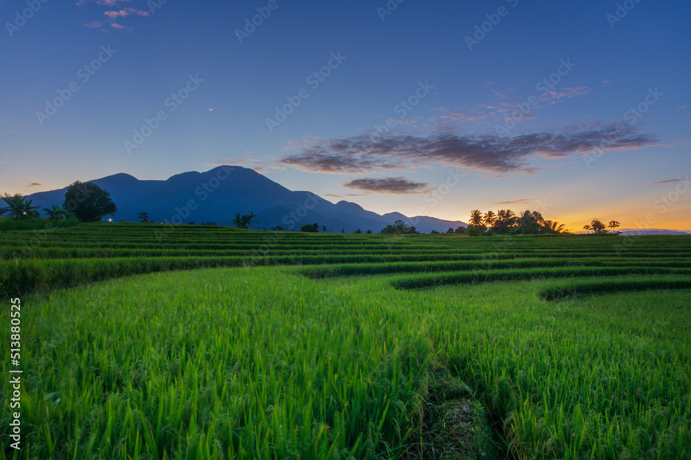 Indonesian morning panorama with bright sunlight in green rice fields and beautiful blue mountains