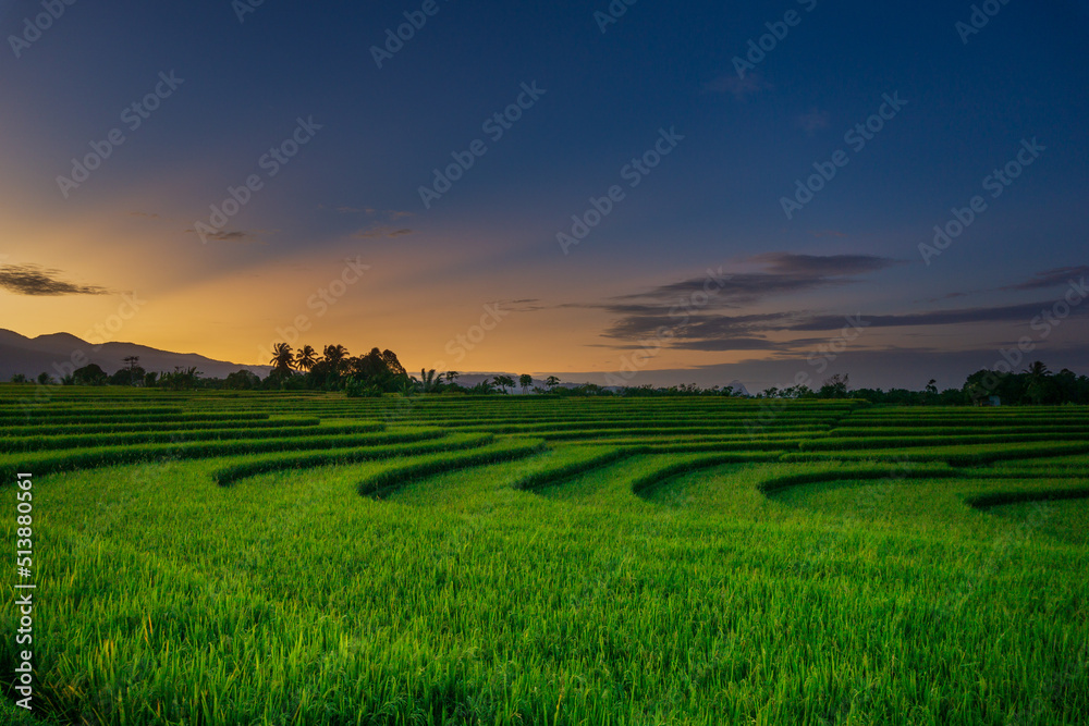 Beautiful morning panorama of Indonesia with sunrise and green rice terraces in the tropical season of June