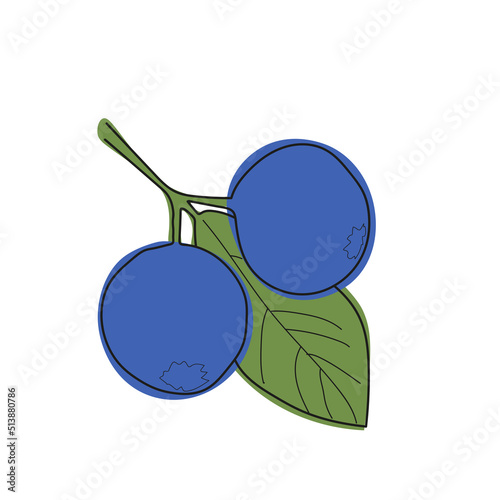 Blueberry branch minimalistic flat and line style.sprig of blueberries with leaves and berries