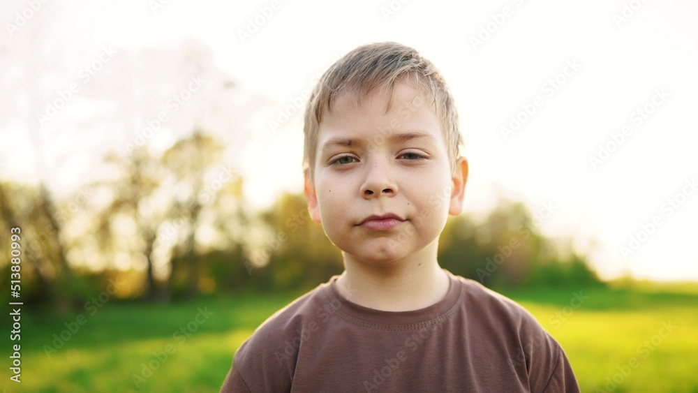 little boy outdoor portrait. happy family kid a dream concept. child close-up in the park in nature looking to the side. boy kid portrait in the lifestyle background grass forest park little boy outdoor portrait. happy family kid a dream concept. child close-up in the park in nature looking to the side. boy kid portrait in the lifestyle background grass forest park