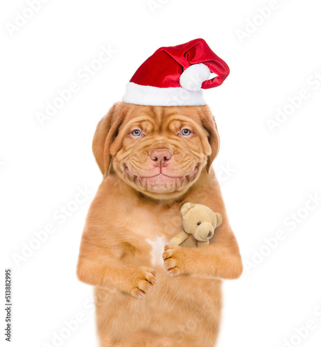 Smiling puppy wearing red  christmas hat hugs favorite toy bear. isolated on white background © Ermolaev Alexandr