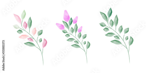 Set of watercolor leaves  hand drawn illustration of floral elements isolated on a white background  can be used for greeting cards and invitations.