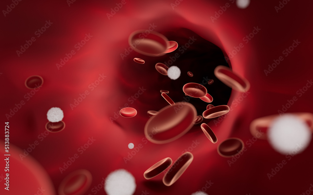 Red and white blood cells in blood vessels, 3d rendering. Red and white blood cells in blood vessels, 3d rendering.