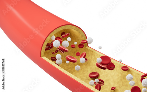 Red and white blood cells in blood vessels, 3d rendering.