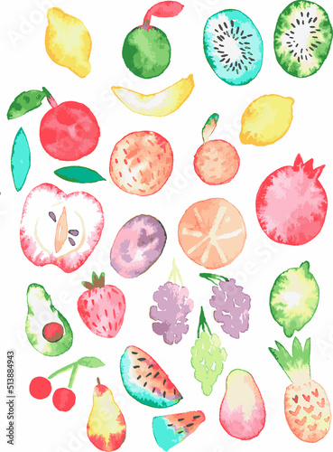 Fototapeta Naklejka Na Ścianę i Meble -  Fruits. Vector illustration. Isolated on a white background.