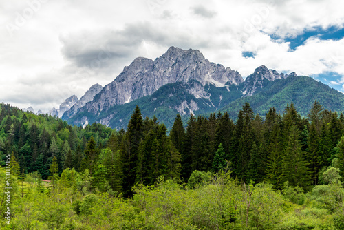 Entdeckungstour durch das wunderschöne Naturreservat Zelenci - Kranjska Gora - Slowenien photo