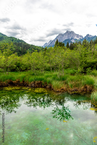 Entdeckungstour durch das wundersch  ne Naturreservat Zelenci - Kranjska Gora - Slowenien