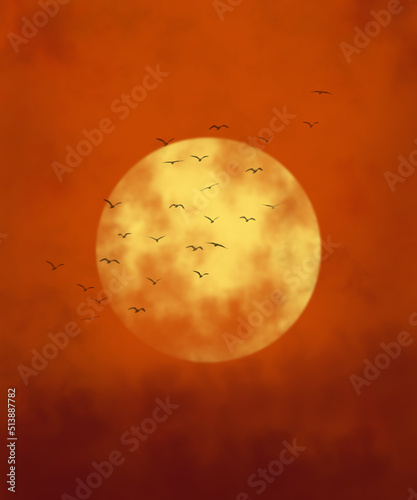 close up sun