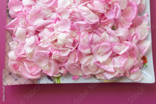 Fototapeta Naklejka Na Ścianę i Meble -  Tea rose petals on pink background