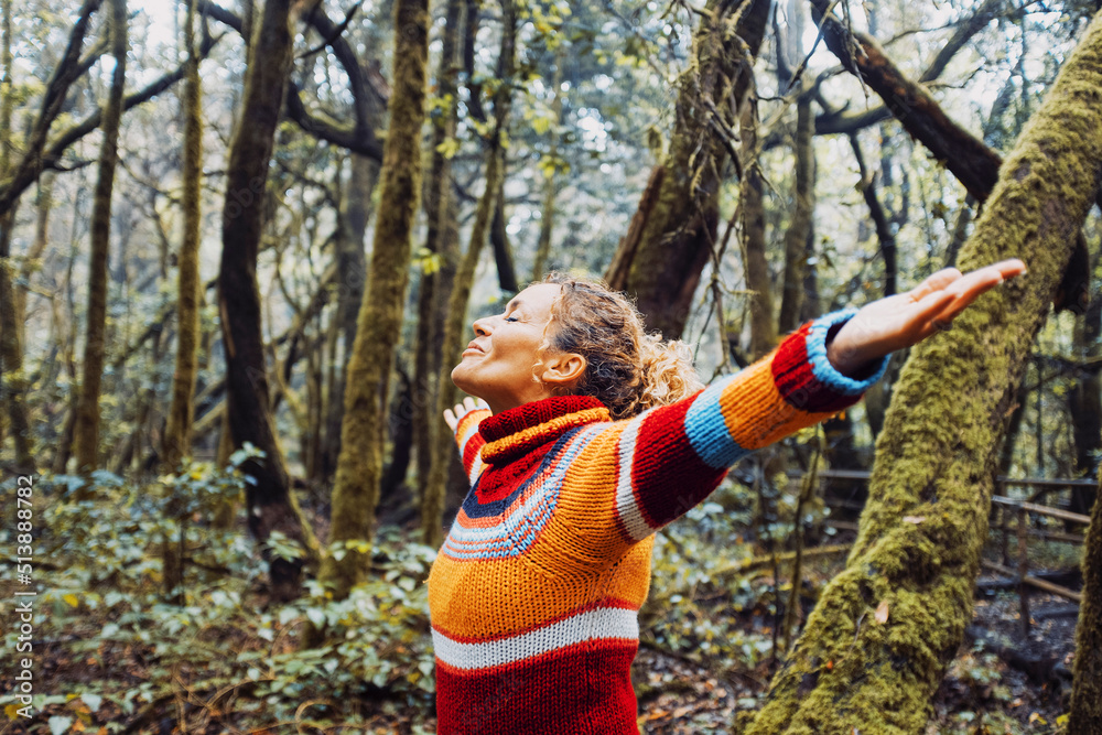 Escape to the Woods: Your Gateway to Nature's Embrace