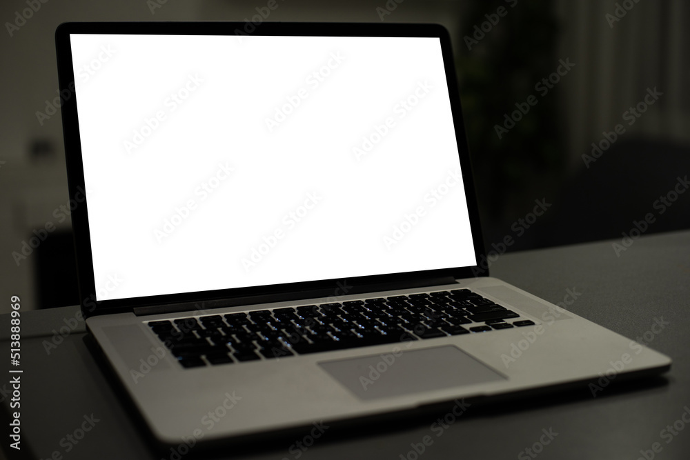Laptop or notebook with blank screen Laptop or notebook with blank screen