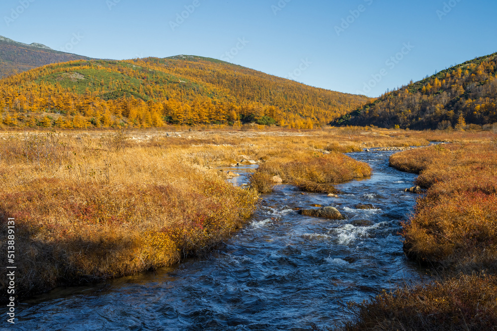 Autumn landscape. View of a small river in a mountain valley. Beautiful northern nature. Ecological tourism and wilderness travel. Oksa river, Magadan region, Siberia, Far East of Russia. September.