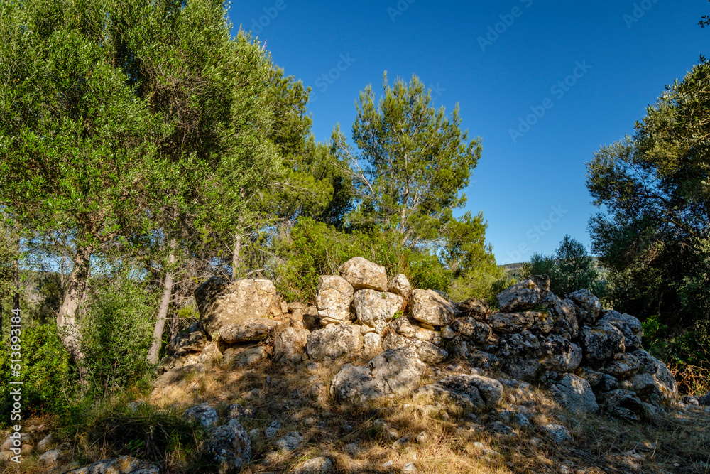 Talaiot des serral de Ses Abelles, - Talaiot de Son serralta -, Puigpunyent, Mallorca, balearic islands, Spain
