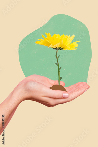 Vertical collage portrait of woman arms palms hold demonstrate growing flower isolated on drawing background
