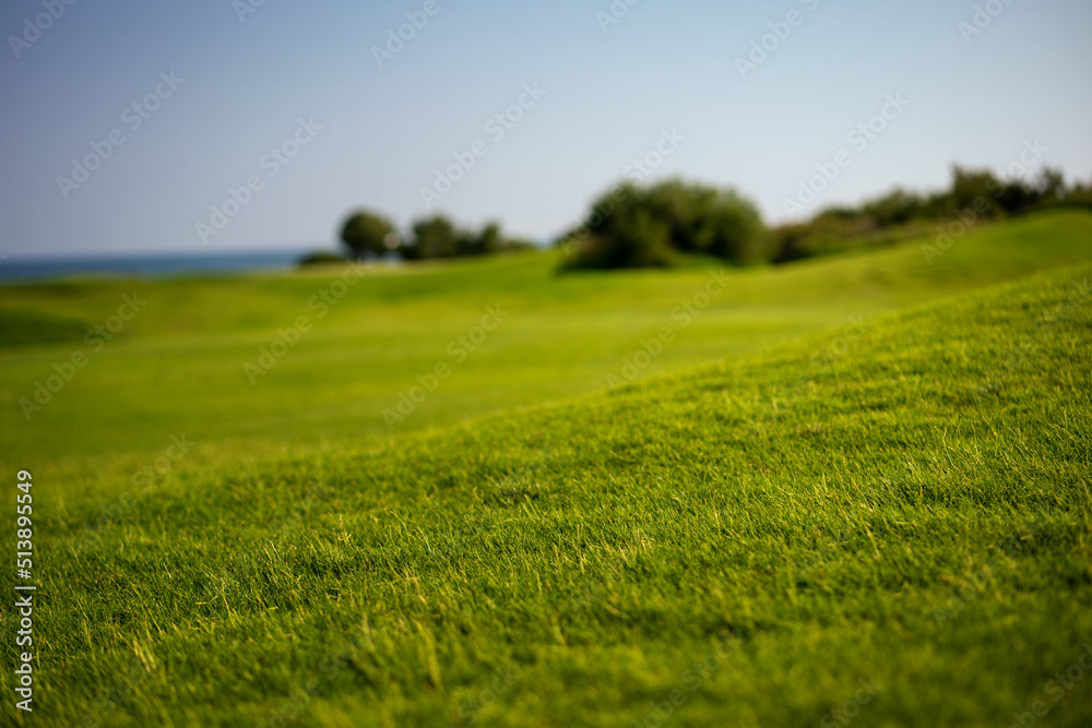 Obraz premium Beautiful summer landscape, green grass natural background and blue sky