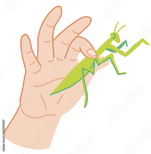 素手でカマキリを捕まえる