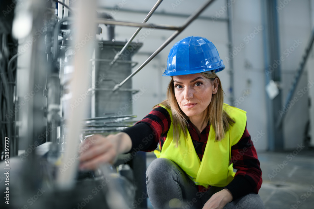 Portrait of female engineer working in industrial factory, doing checkup control. Portrait of female engineer working in industrial factory, doing checkup control.