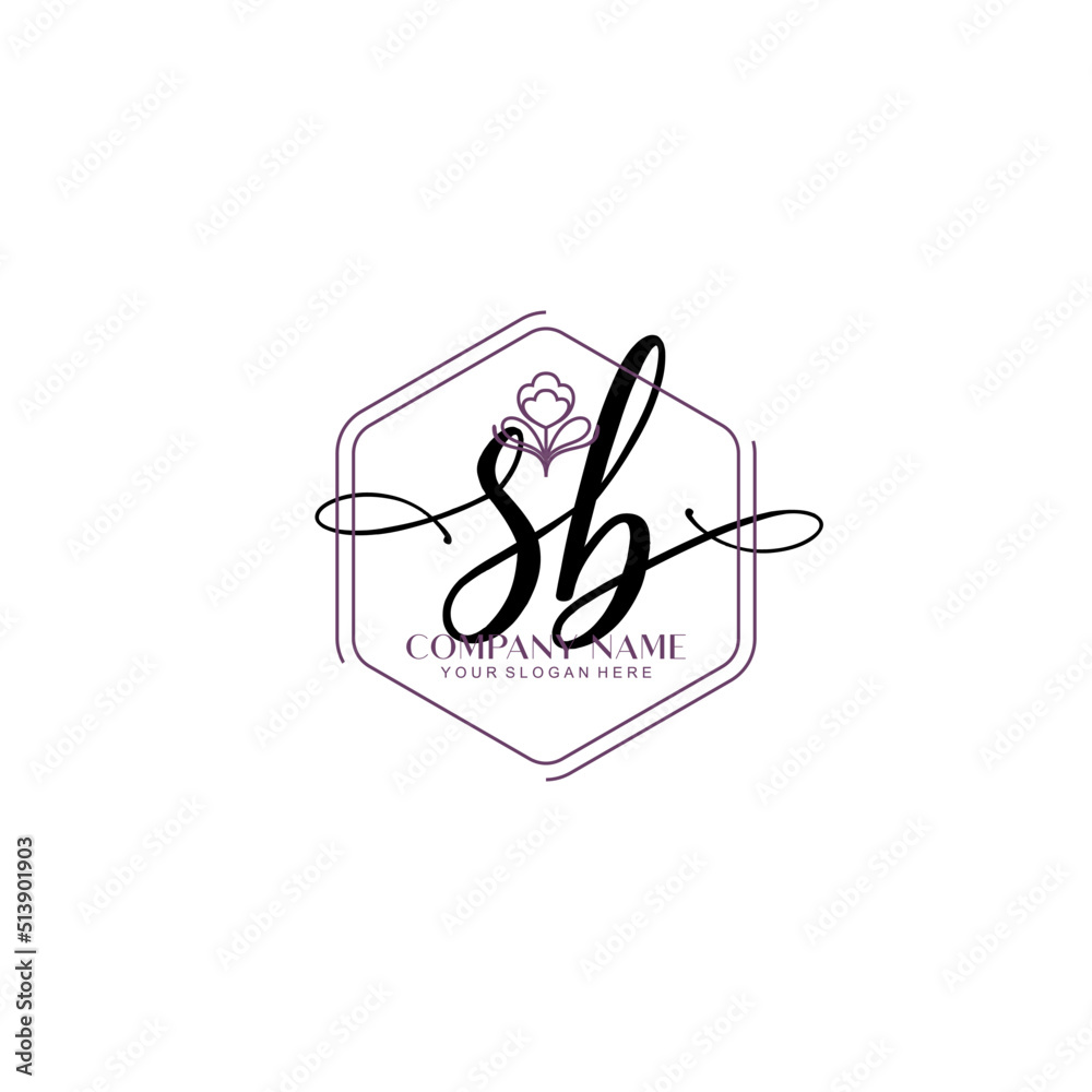 SB signature logo template vector
