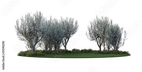 3d render clear forest with white background