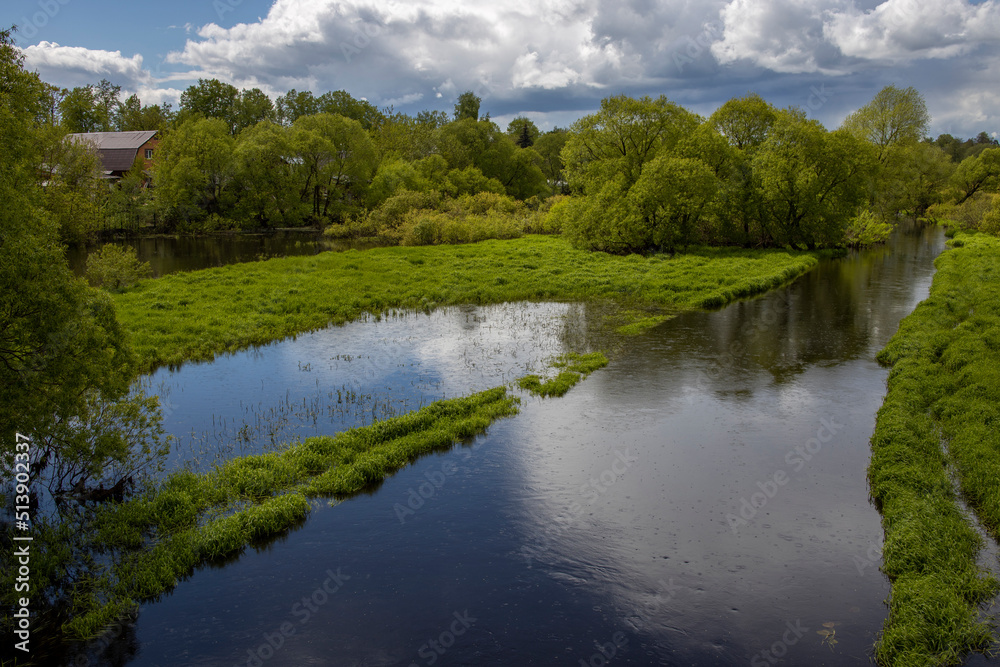 It's raining on a bright sunny day. Rural landscape with river and green grass and trees. Juicy greenery in mushroom rain It's raining on a bright sunny day. Rural landscape with river and green grass and trees. Juicy greenery in mushroom rain