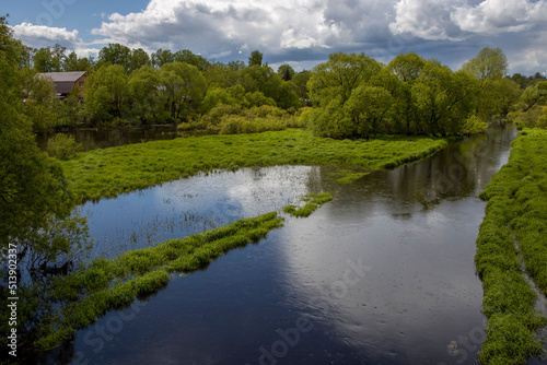 Fototapeta Naklejka Na Ścianę i Meble -  It's raining on a bright sunny day. Rural landscape with river and green grass and trees. Juicy greenery in mushroom rain