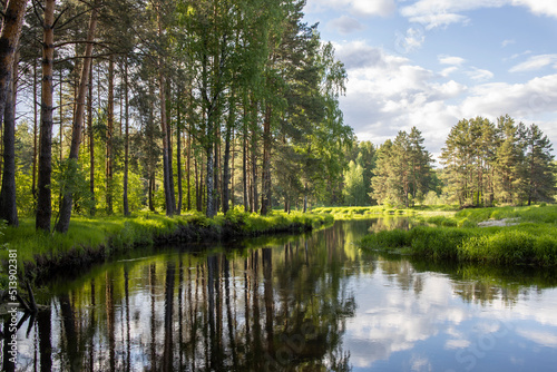 Bright sunny landscape near the river. The sun's rays illuminate the young greens.