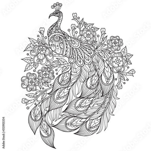 Peacock and flower hand drawn for adult coloring book