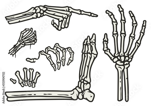 Skeleton hands and leg elements set for halloween design