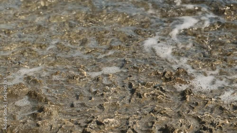 Close-up, waves rolls on a petrified coral reef in the coastal zone. Camera moves sideway to the right side. Natural background. Close-up, waves rolls on a petrified coral reef in the coastal zone. Camera moves sideway to the right side. Natural background.