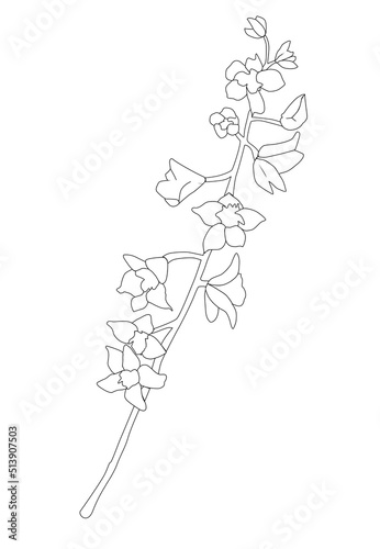 Sketch Floral. Black and white with line art on white backgrounds.Vector illustration.