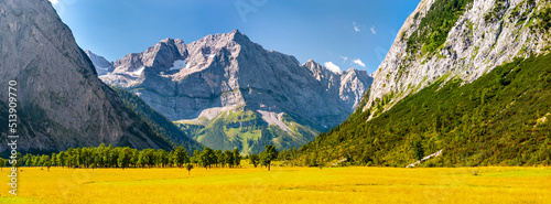 Fotografie, Obraz panoramic landscape with mountains behind meadow
