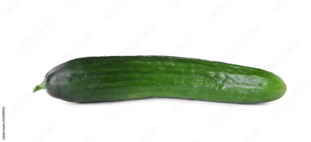 Whole fresh green cucumber isolated on white Whole fresh green cucumber isolated on white