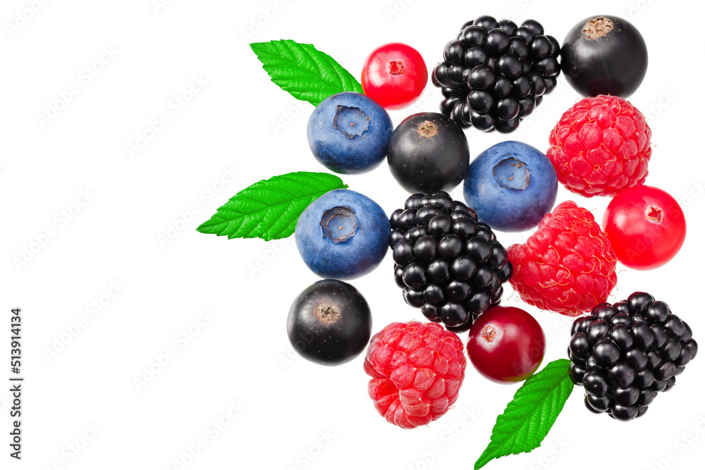 mix of blueberry, blackberry, cranberry, raspberry with leaves isolated on white background. top view. clipping path mix of blueberry, blackberry, cranberry, raspberry with leaves isolated on white background. top view. clipping path